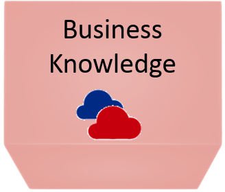 1Business knowledge